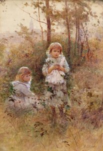 Nel bosco